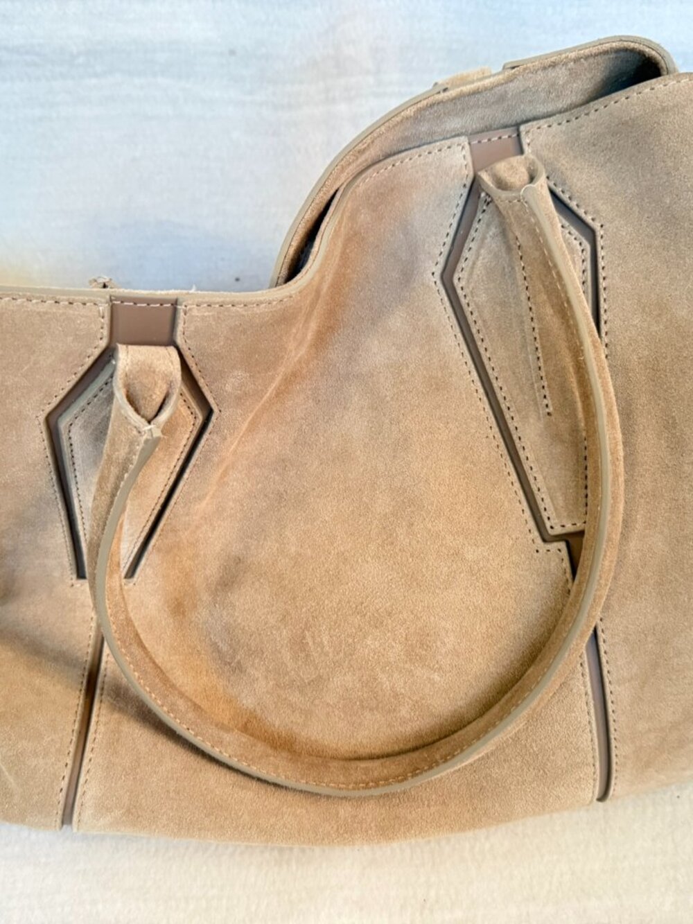 Aquatalia Tan Suede Tote Bag